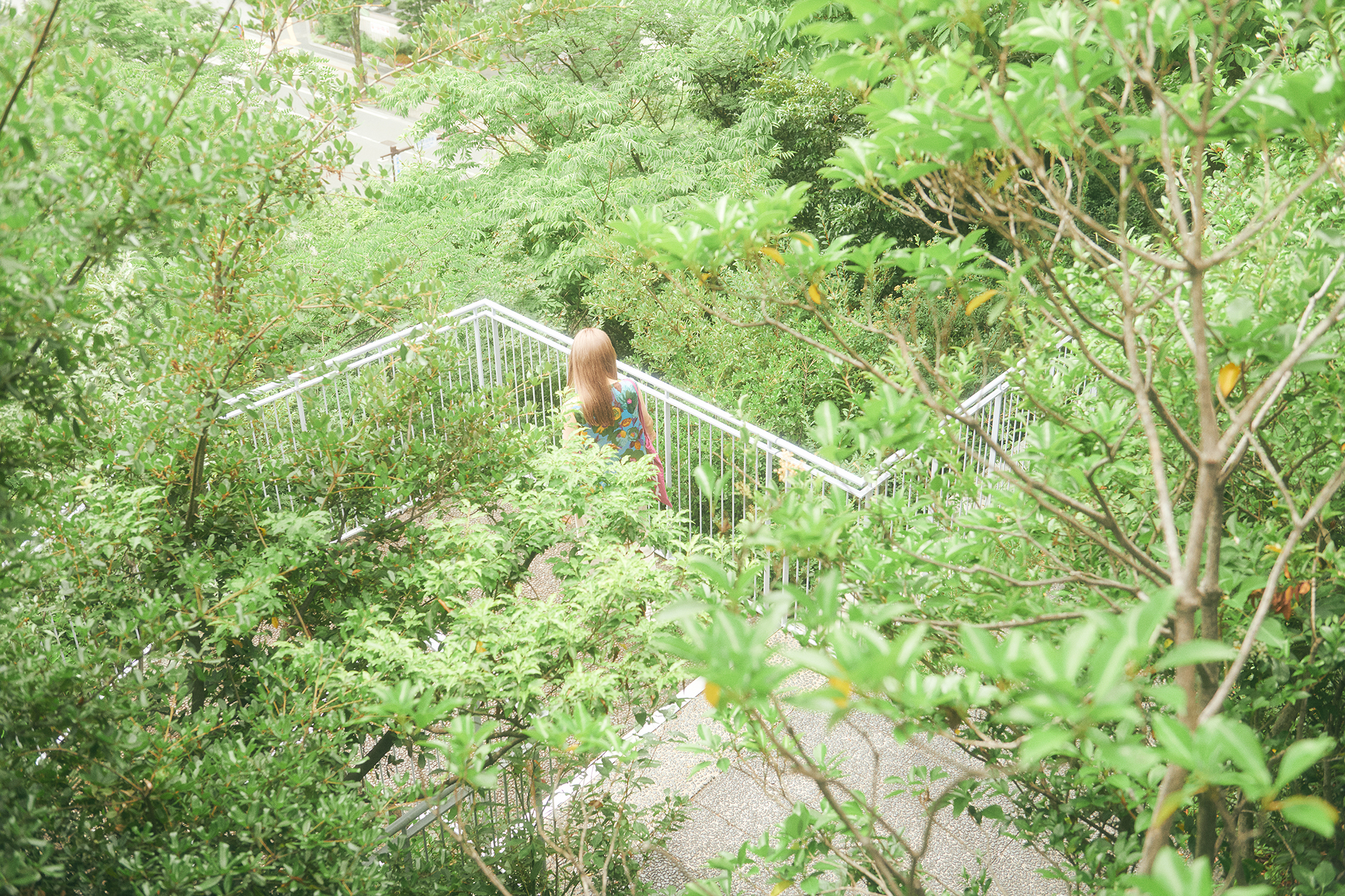 人の数だけ、違った歩き方がある。<br>  人の数だけ、歩く理由がある。<br>  WALKS-石川由佳子編-