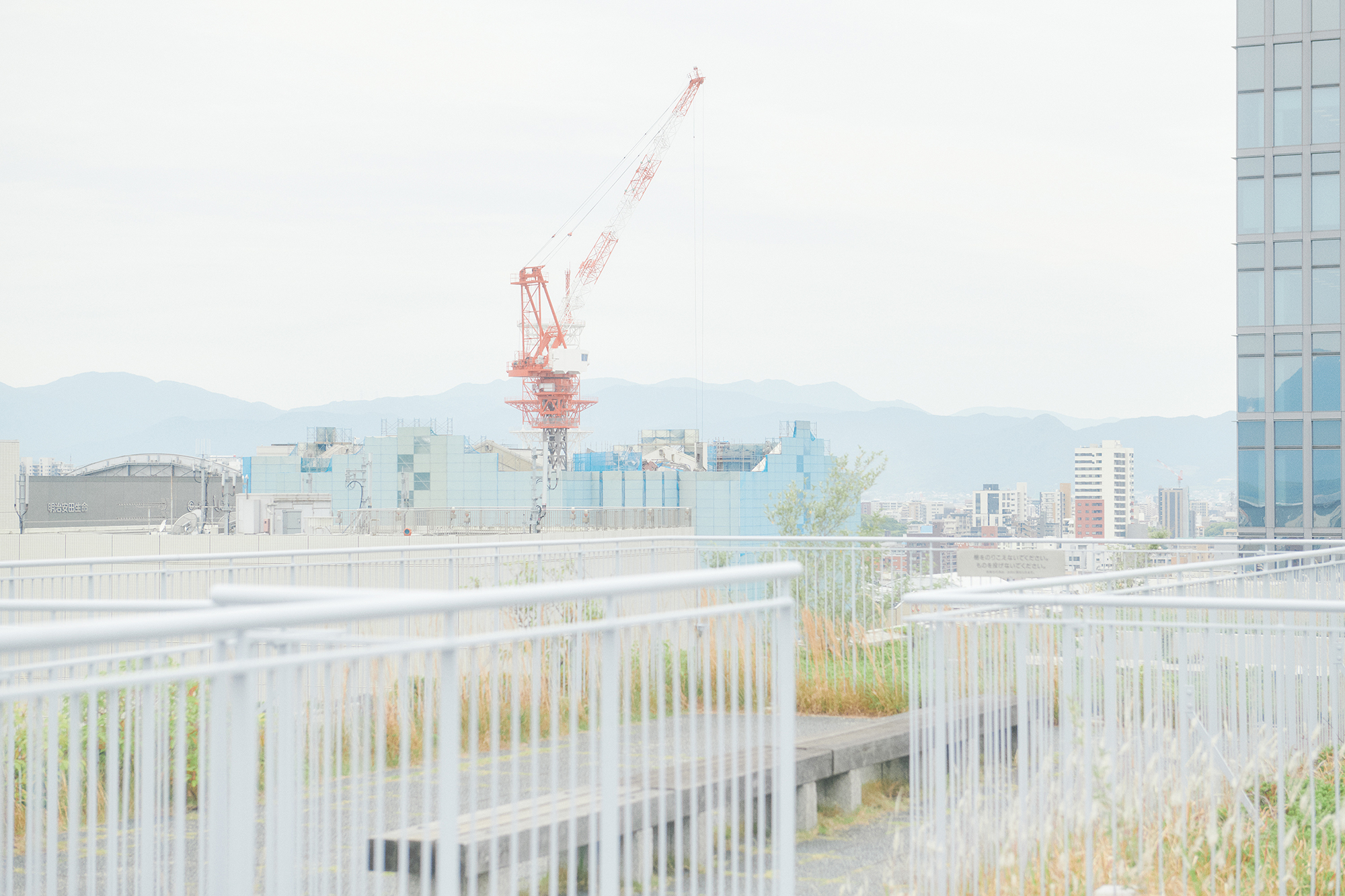 人の数だけ、違った歩き方がある。<br>  人の数だけ、歩く理由がある。<br>  WALKS-石川由佳子編-