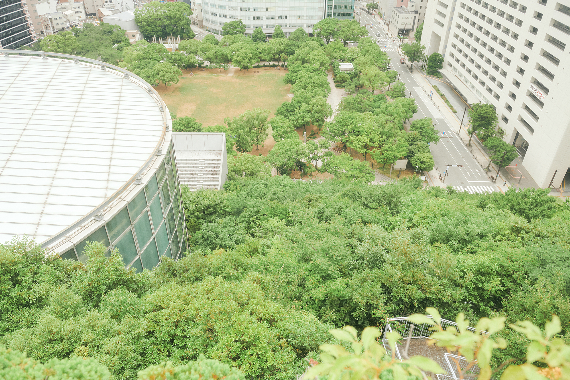 人の数だけ、違った歩き方がある。<br>  人の数だけ、歩く理由がある。<br>  WALKS-石川由佳子編-