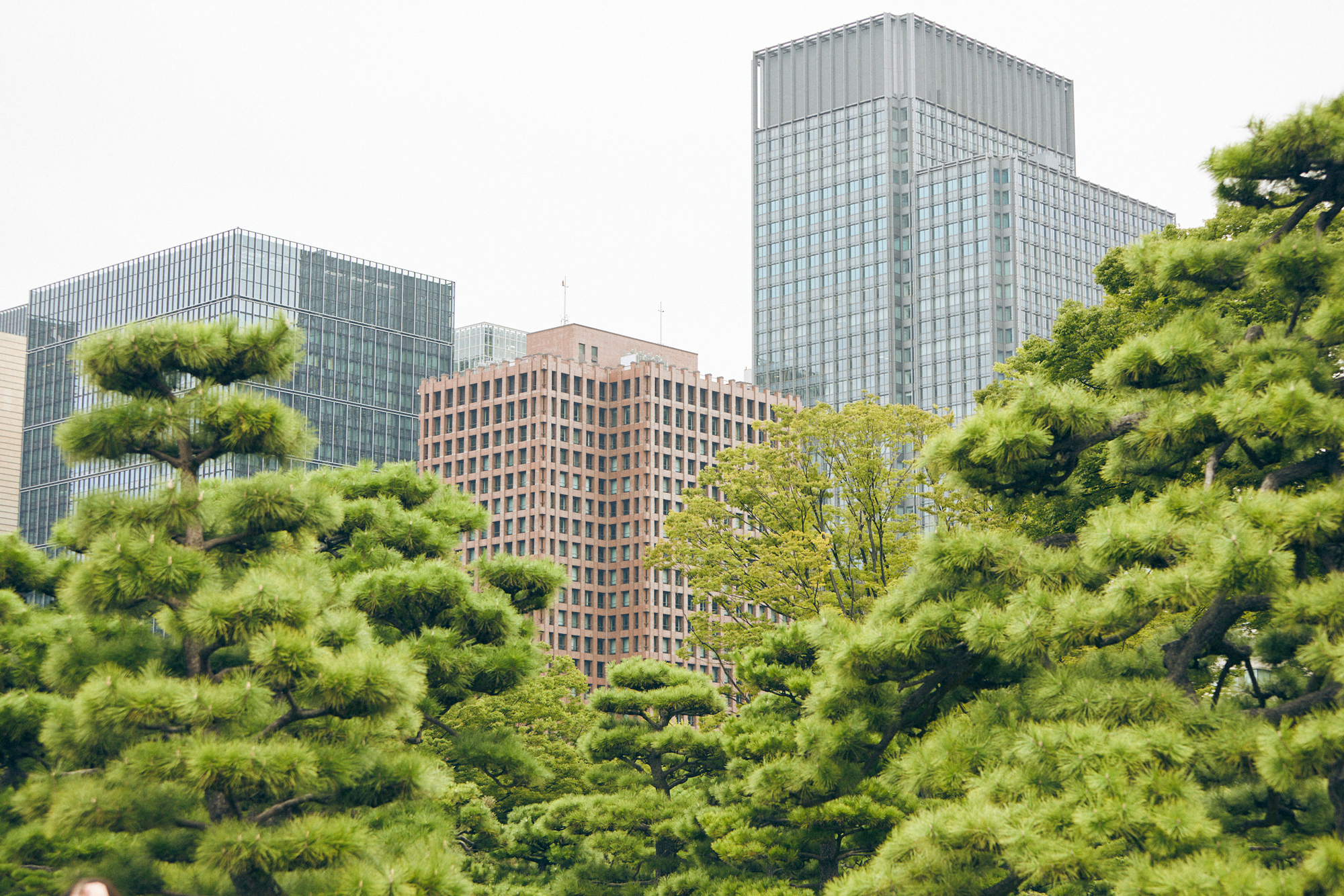 人の数だけ、違った歩き方がある。<br>  人の数だけ、歩く理由がある。<br>  WALKS-平澤香苗編-