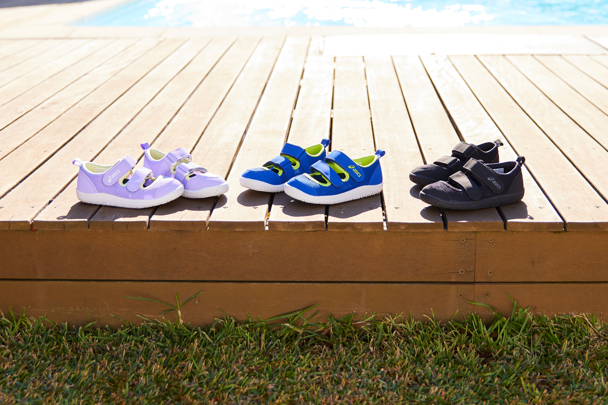 AMPHIBIAN SERIES