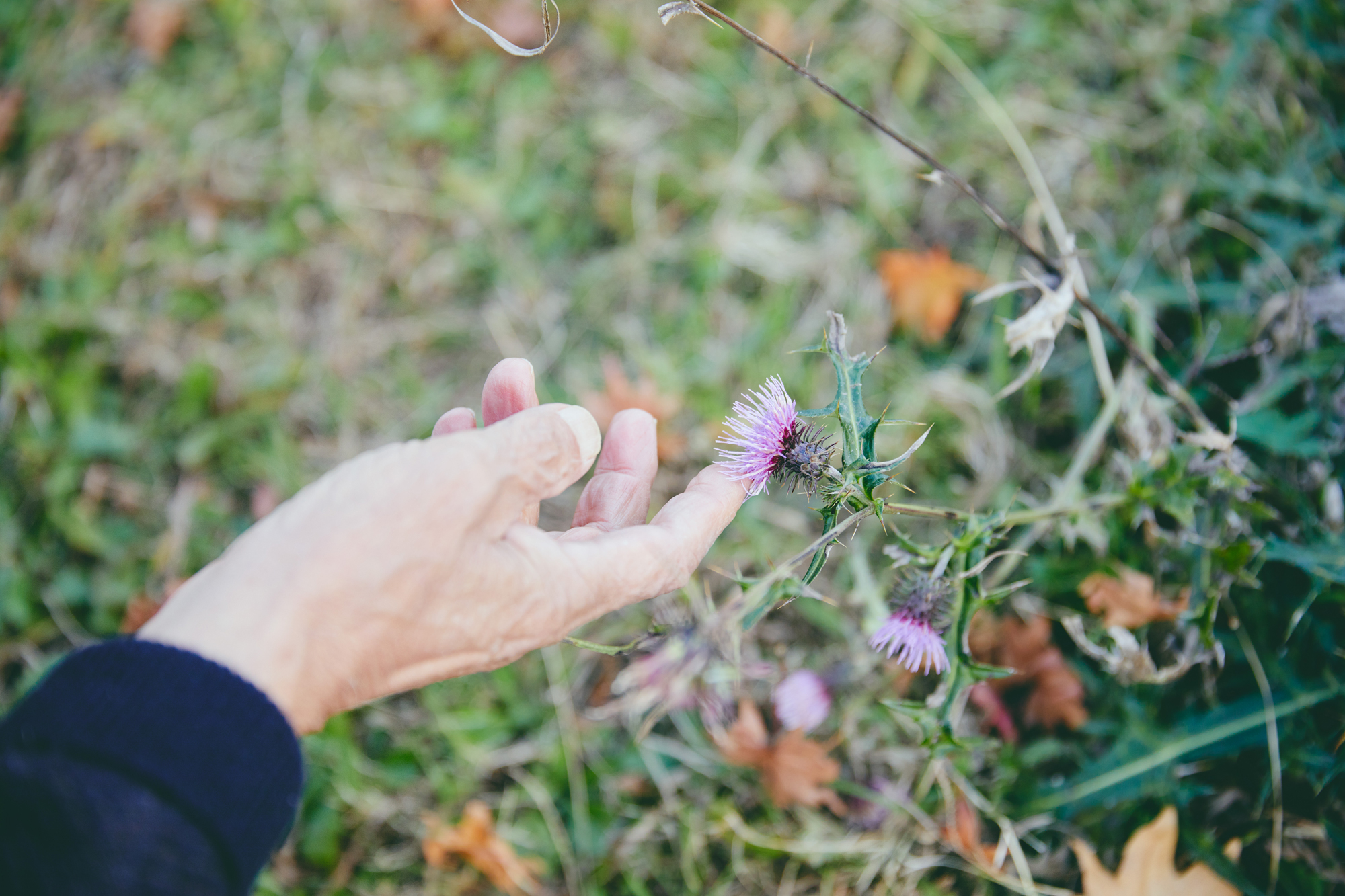 人の数だけ、違った歩き方がある。<br>  人の数だけ、歩く理由がある。<br> WALKS　- 養老孟司 前編 –