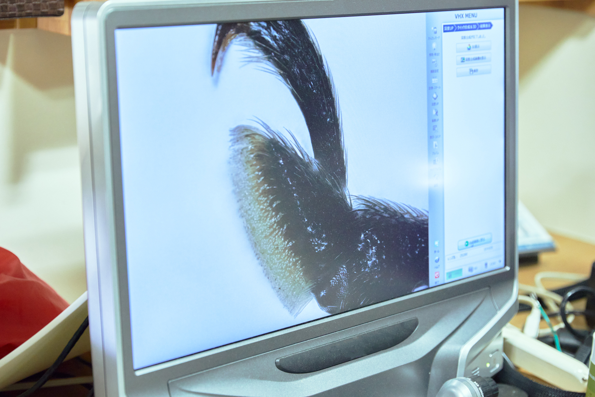 人の数だけ、違った歩き方がある。<br>  人の数だけ、歩く理由がある。<br> WALKS　- 養老孟司 前編 –