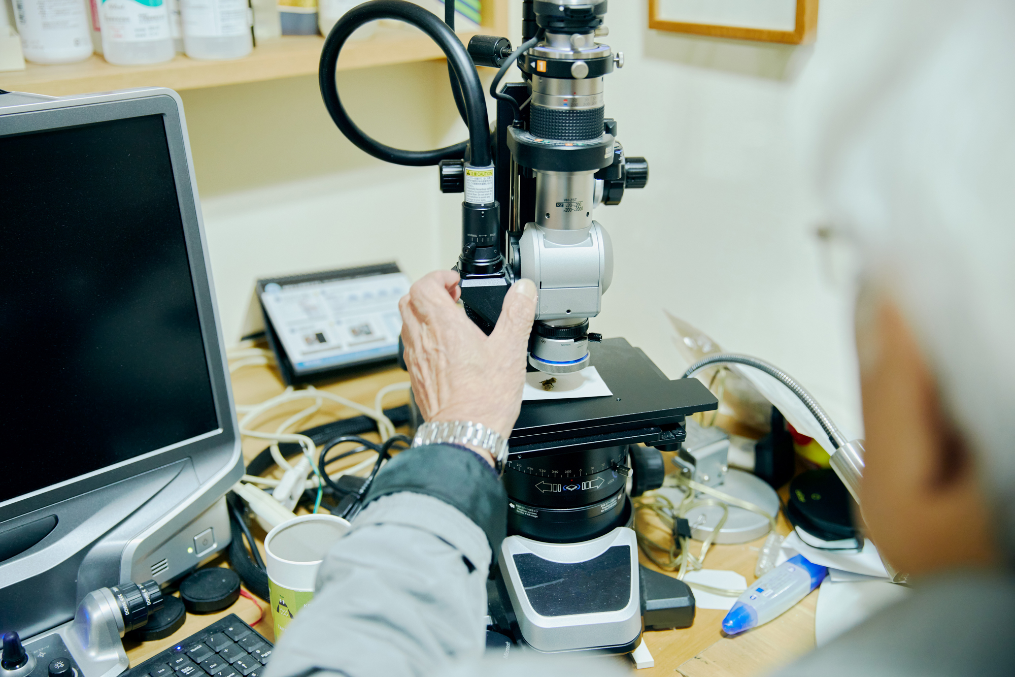 人の数だけ、違った歩き方がある。<br>  人の数だけ、歩く理由がある。<br> WALKS　- 養老孟司 前編 –