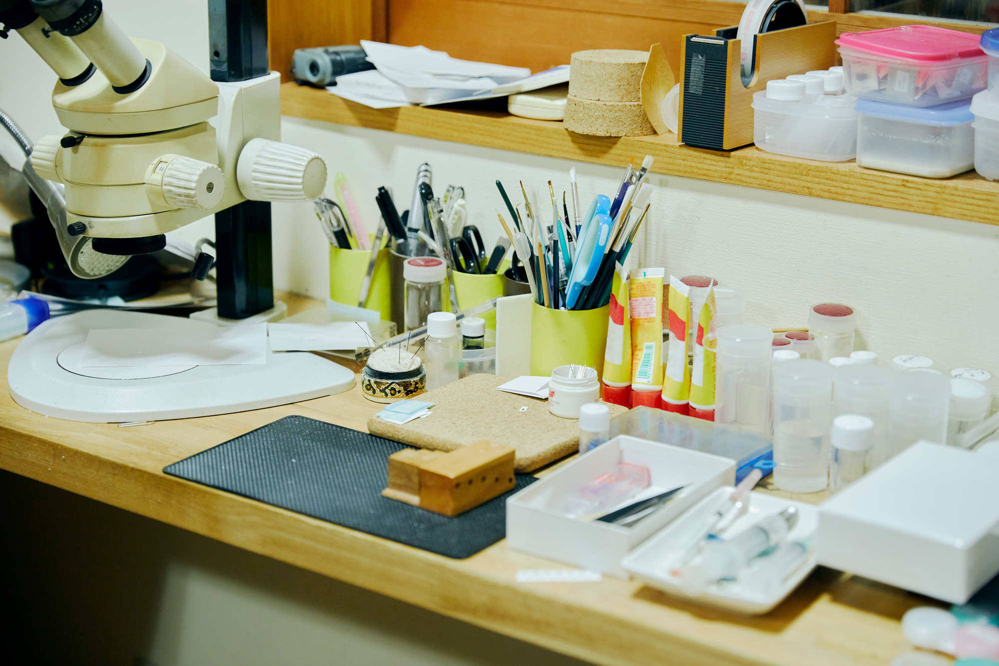 人の数だけ、違った歩き方がある。<br>  人の数だけ、歩く理由がある。<br> WALKS　- 養老孟司 前編 –