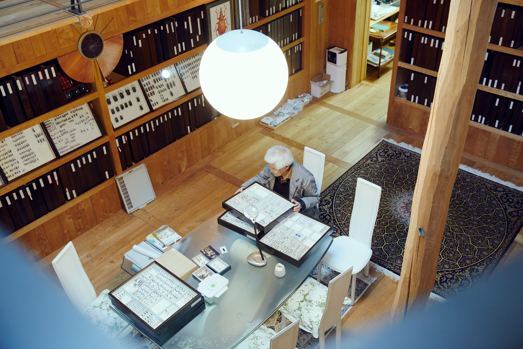 人の数だけ、違った歩き方がある。<br>  人の数だけ、歩く理由がある。<br> WALKS　- 養老孟司 前編 –