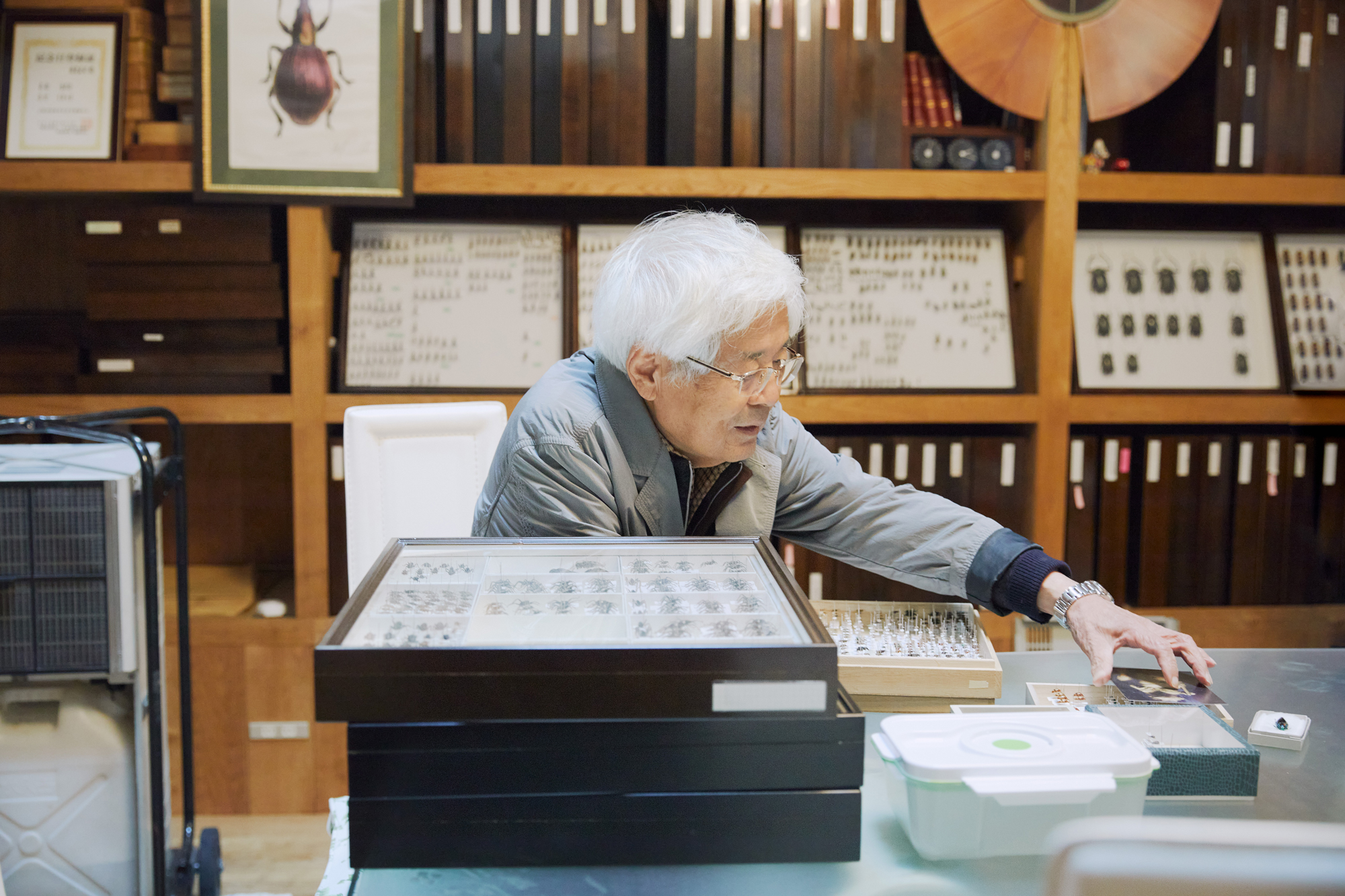 人の数だけ、違った歩き方がある。<br>  人の数だけ、歩く理由がある。<br> WALKS　- 養老孟司 前編 –