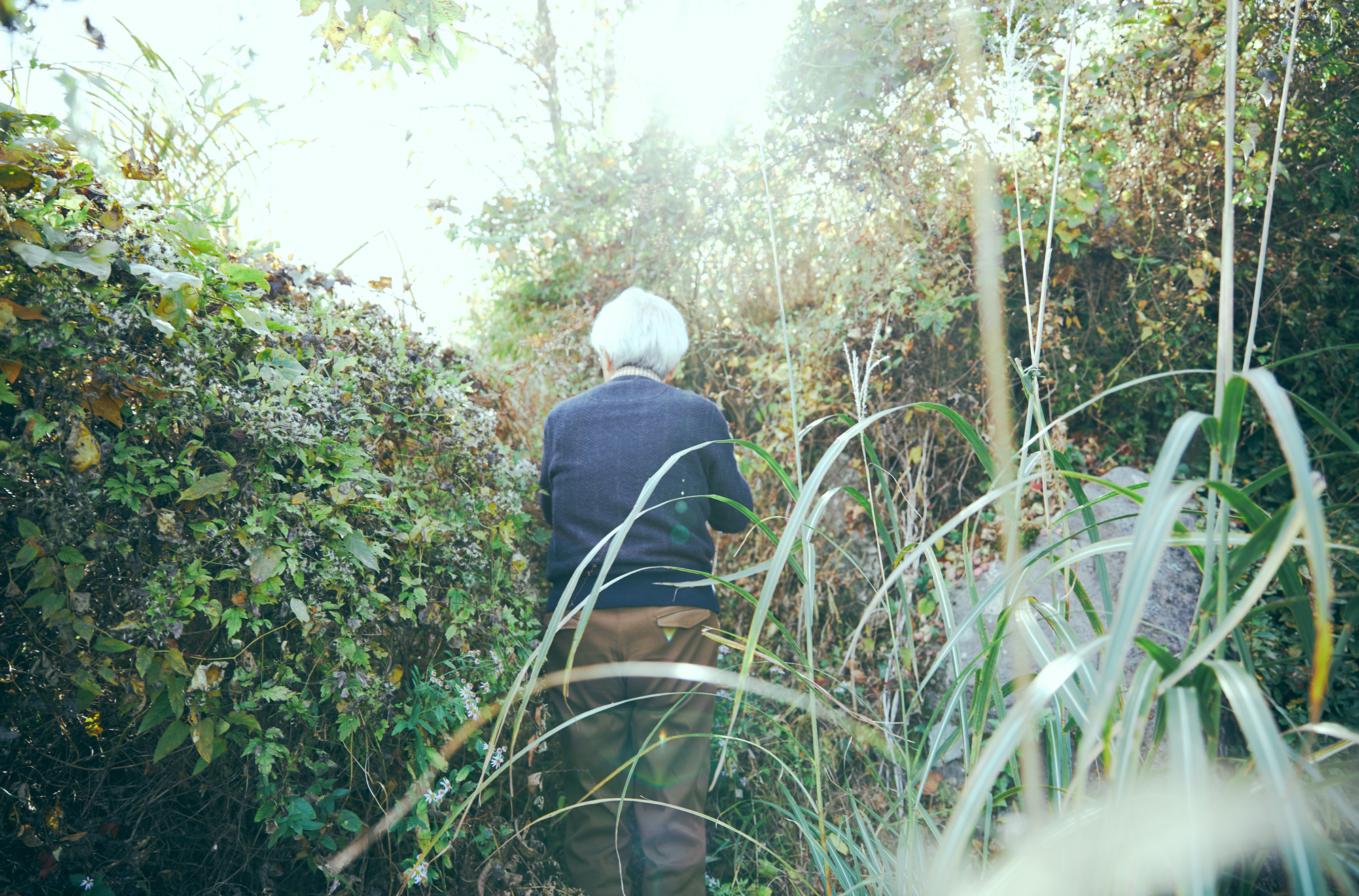 人の数だけ、違った歩き方がある。<br> 人の数だけ、歩く理由がある。<br> WALKS - 養老孟司 後編 –