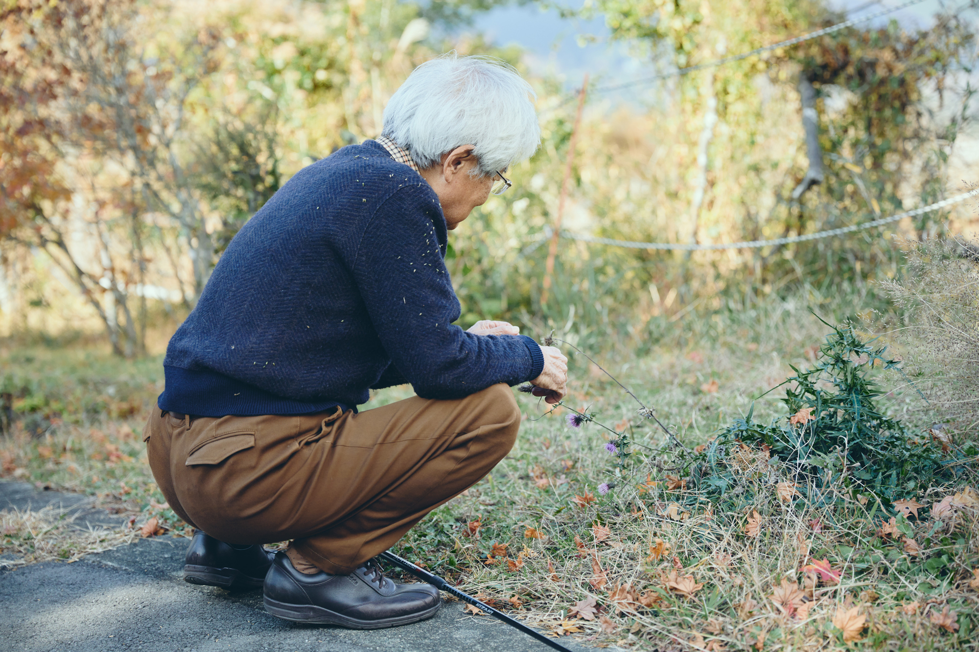 人の数だけ、違った歩き方がある。<br> 人の数だけ、歩く理由がある。<br> WALKS - 養老孟司 後編 –