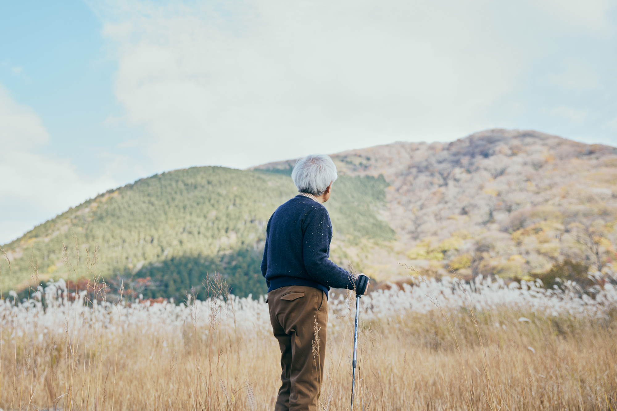 人の数だけ、違った歩き方がある。<br> 人の数だけ、歩く理由がある。<br> WALKS - 養老孟司 後編 –