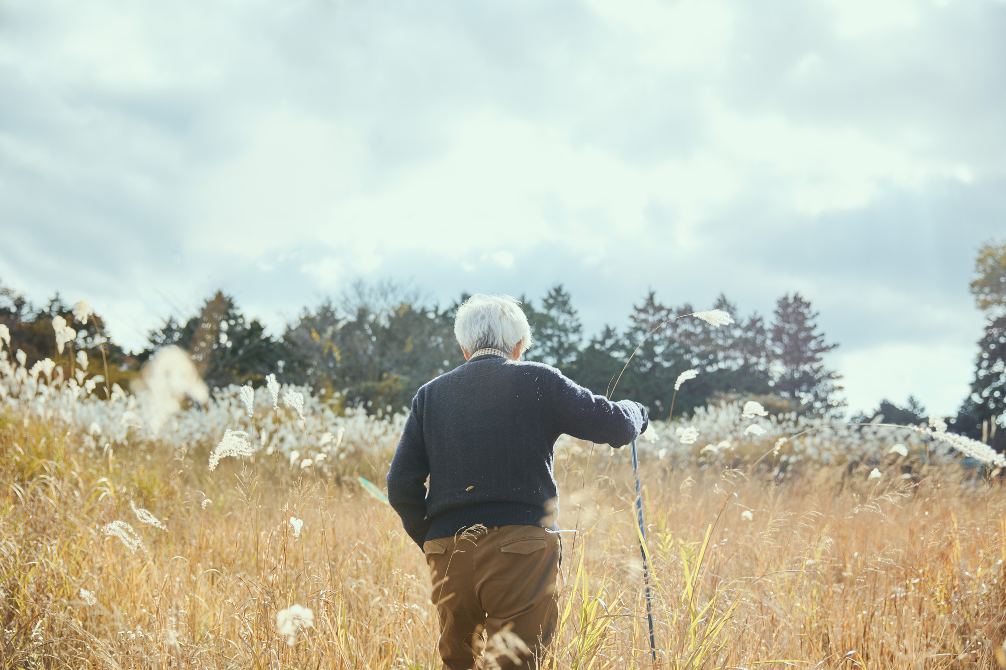 人の数だけ、違った歩き方がある。<br> 人の数だけ、歩く理由がある。<br> WALKS - 養老孟司 後編 –