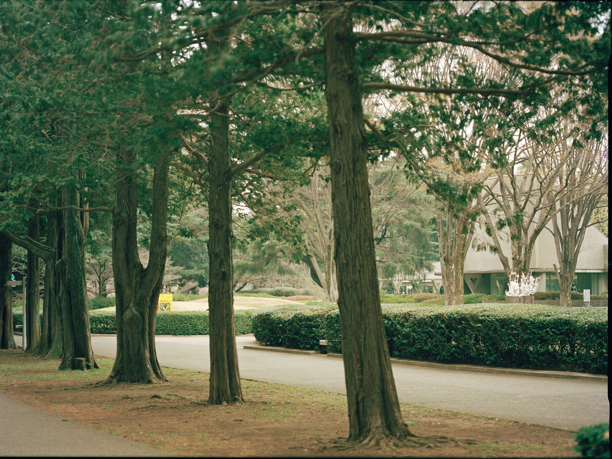 人の数だけ、違った歩き方がある。<br> 人の数だけ、歩く理由がある。<br> WALKS - 冨永愛 編 –