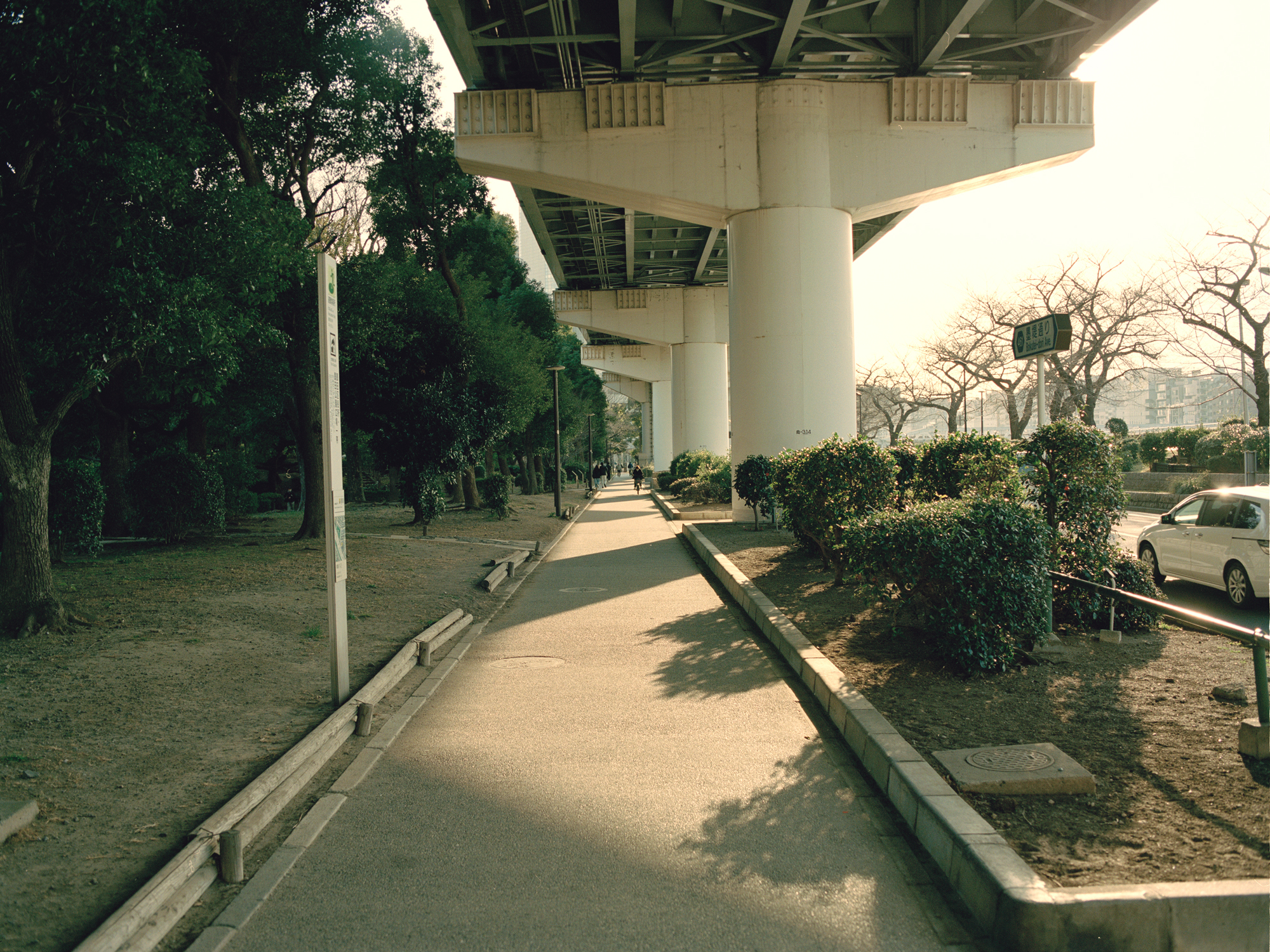人の数だけ、違った歩き方がある。<br> 人の数だけ、歩く理由がある。<br> WALKS - 鳴戸勝紀 編 –