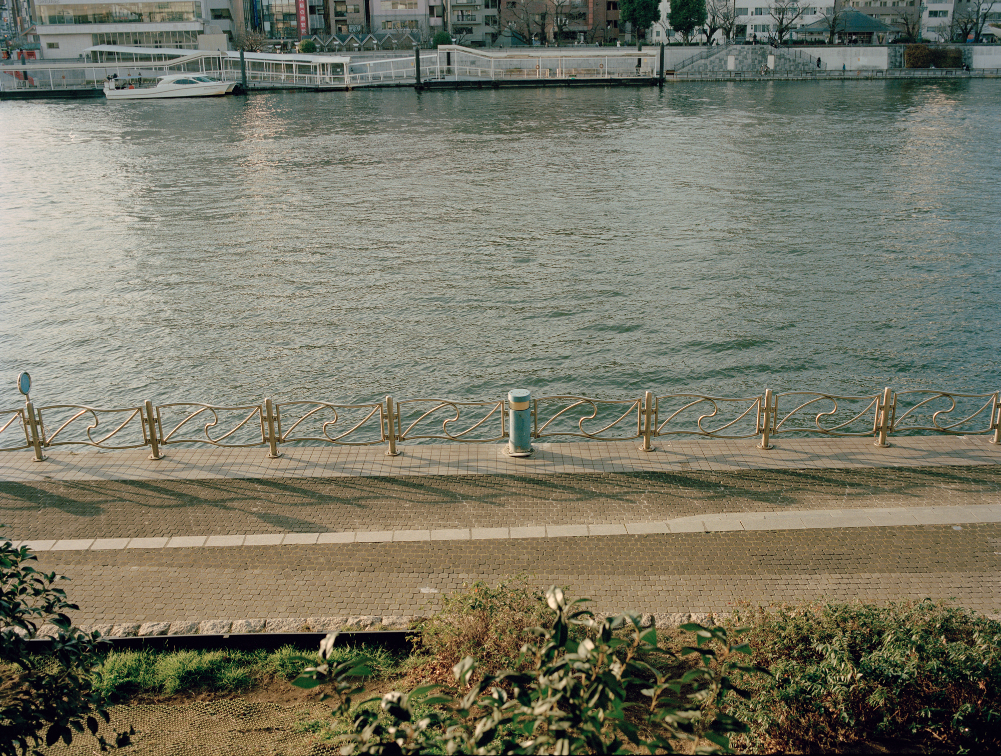 人の数だけ、違った歩き方がある。<br> 人の数だけ、歩く理由がある。<br> WALKS - 鳴戸勝紀 編 –