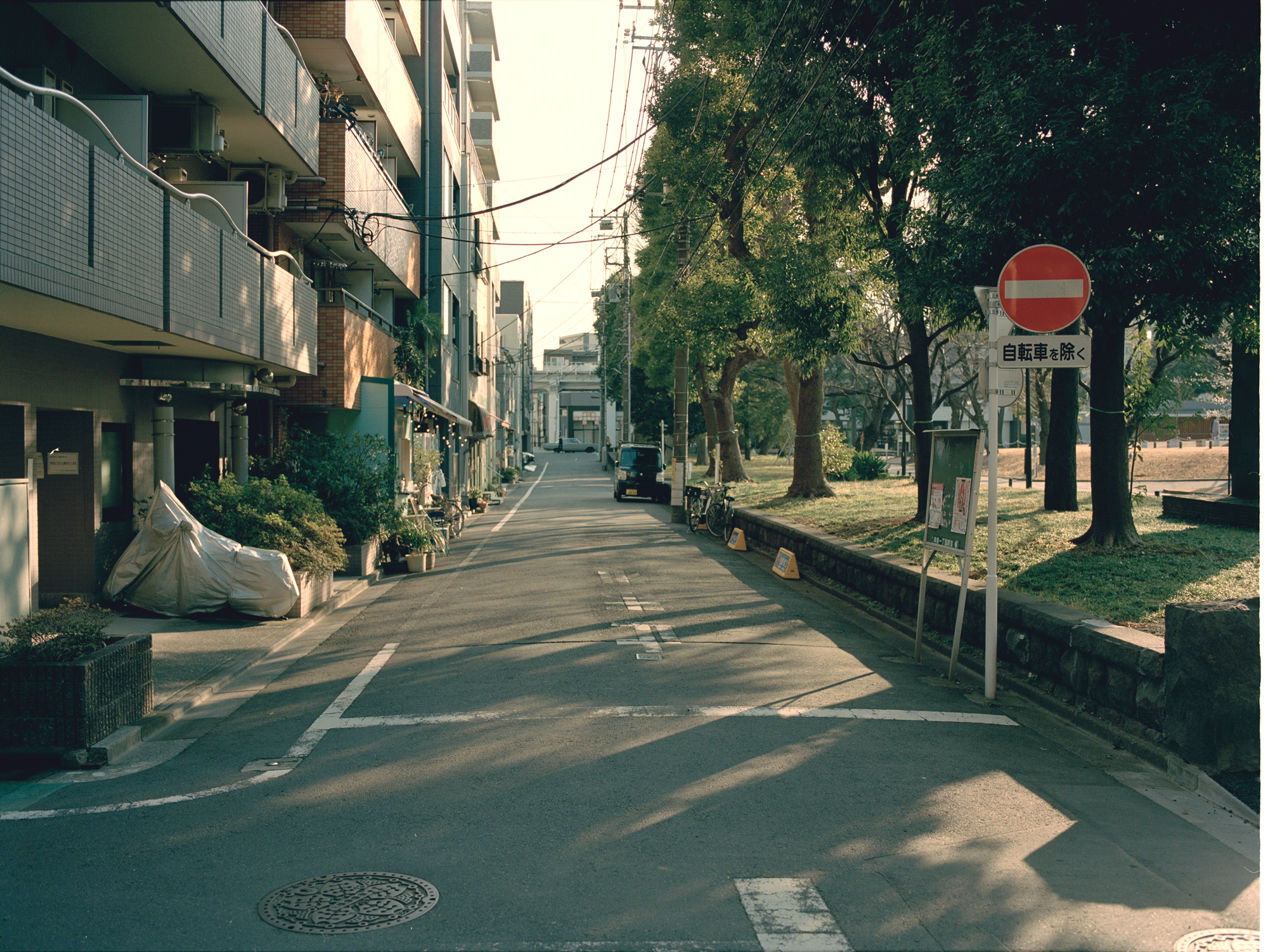 人の数だけ、違った歩き方がある。<br> 人の数だけ、歩く理由がある。<br> WALKS - 鳴戸勝紀 編 –