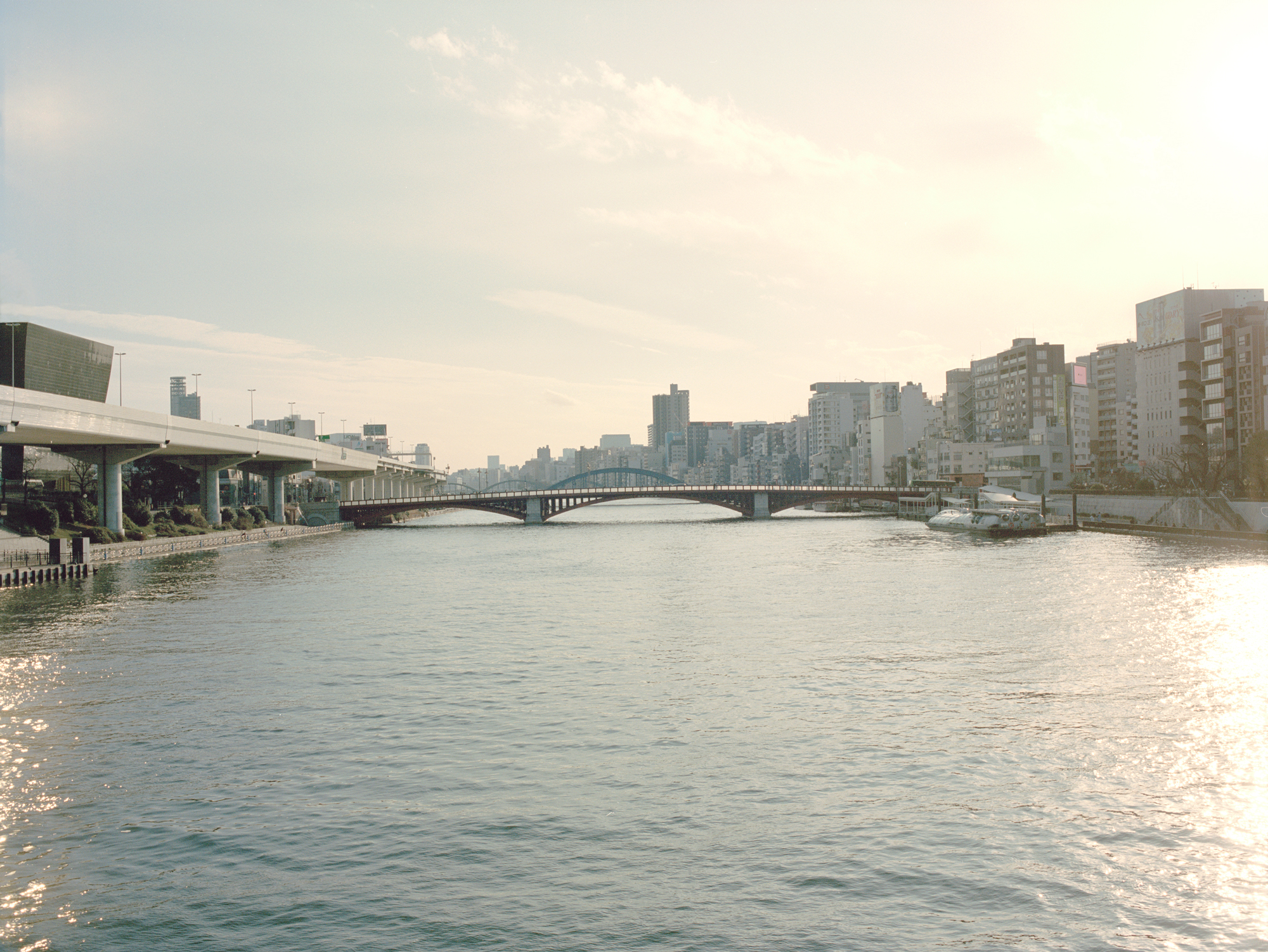 人の数だけ、違った歩き方がある。<br> 人の数だけ、歩く理由がある。<br> WALKS - 鳴戸勝紀 編 –