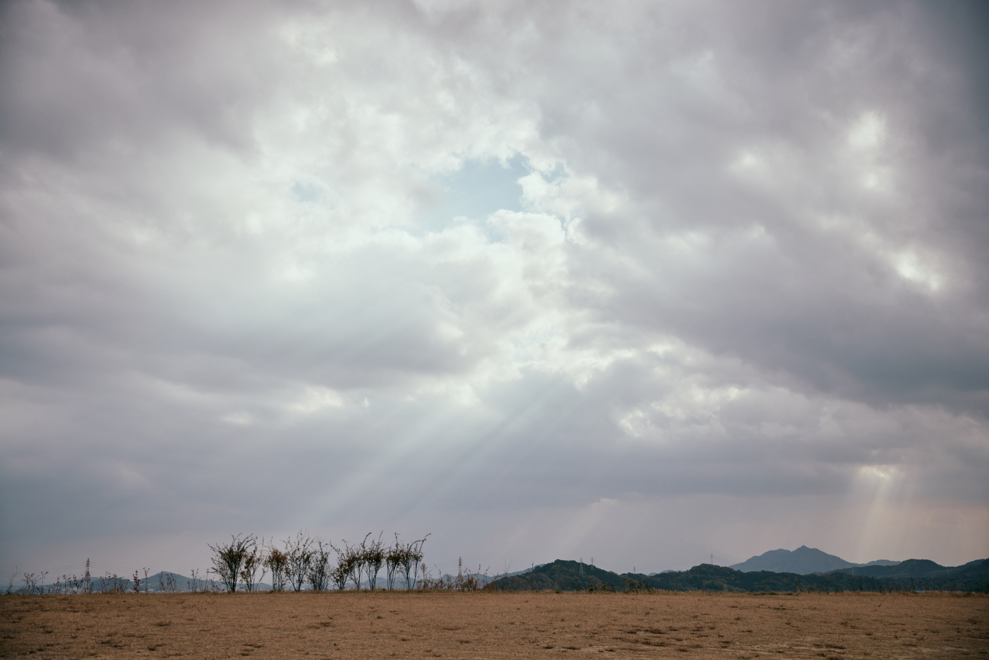 人の数だけ、違った歩き方がある。<br> 人の数だけ、歩く理由がある。<br> WALKS - 岡田武史 編 –