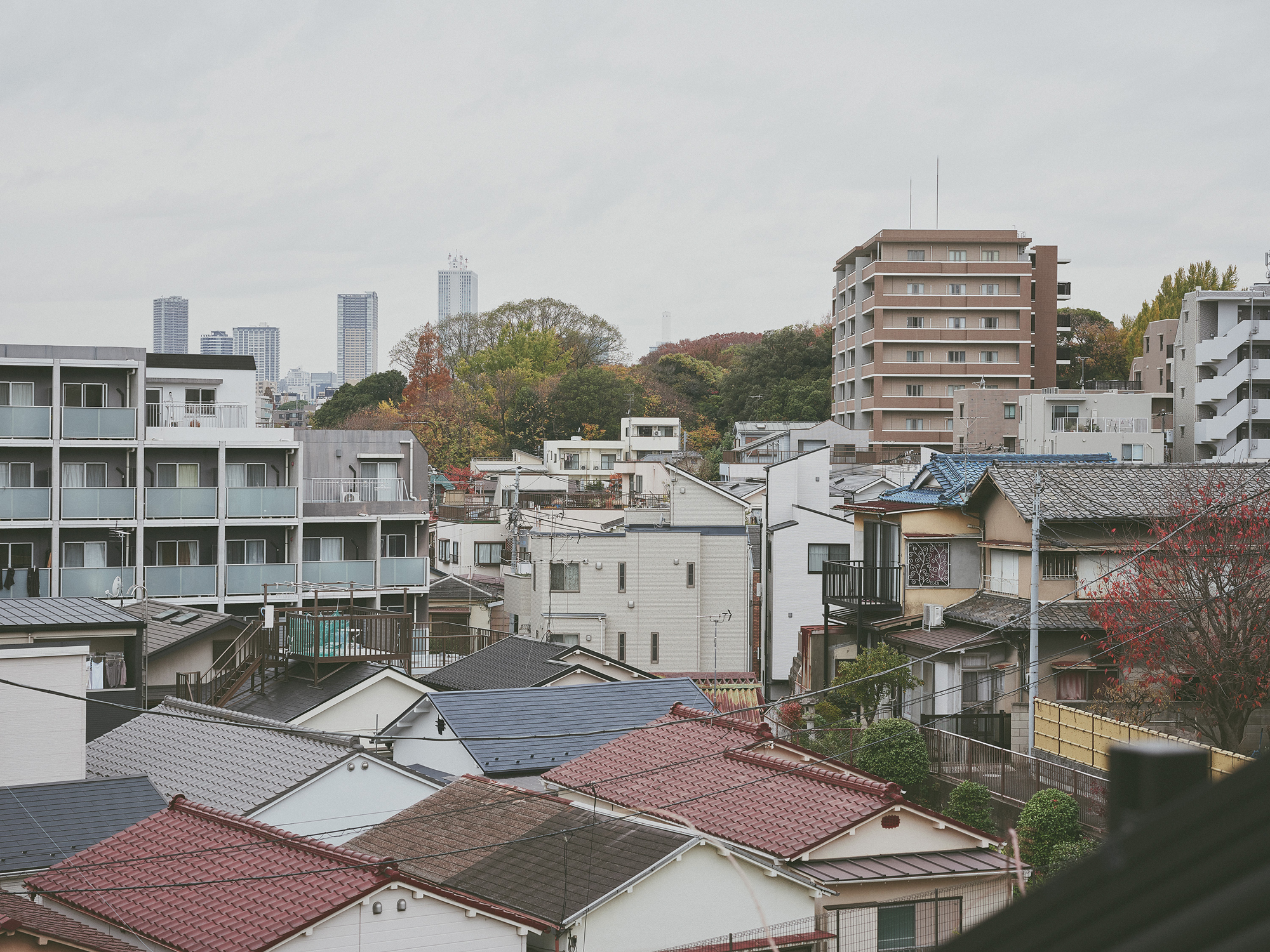 人の数だけ、違った歩き方がある。<br> 人の数だけ、歩く理由がある。<br> WALKS - コヴァレヴァ・アレクサンドラ+佐藤敬 / KASA編 –