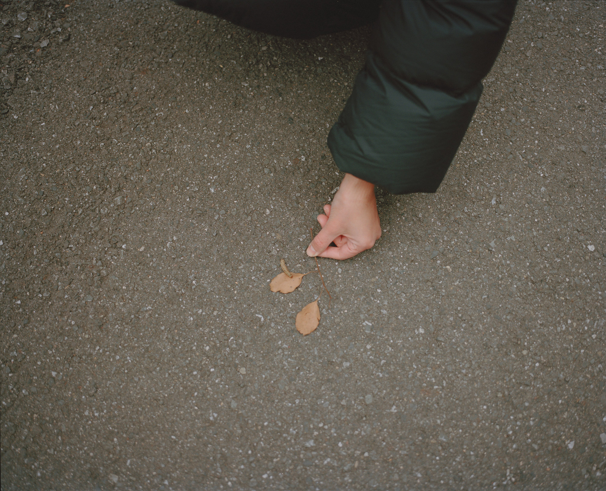 人の数だけ、違った歩き方がある。<br> 人の数だけ、歩く理由がある。<br> WALKS - コヴァレヴァ・アレクサンドラ+佐藤敬 / KASA編 –