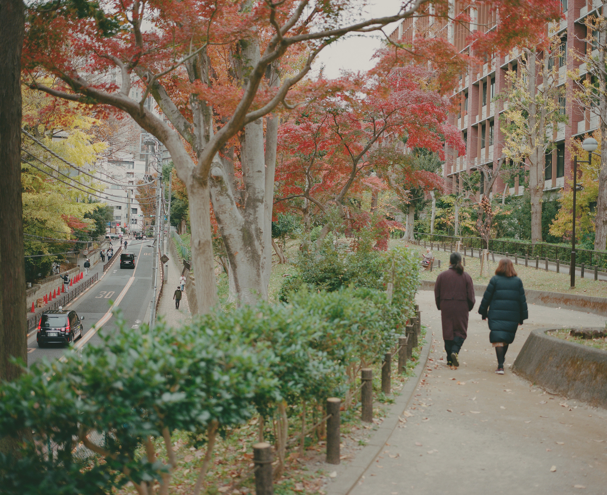 人の数だけ、違った歩き方がある。<br> 人の数だけ、歩く理由がある。<br> WALKS - コヴァレヴァ・アレクサンドラ+佐藤敬 / KASA編 –